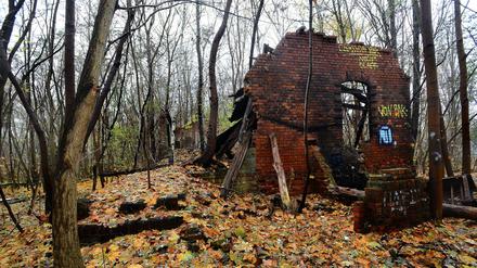 Die Brache am Westkreuz soll bald ein Park sein. Zuvor wollte ein Investor dort Wohnungen bauen.