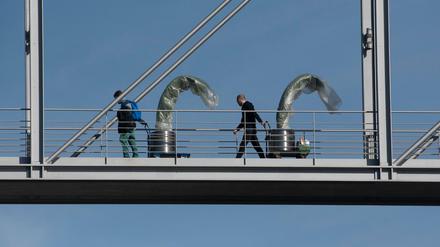 dDer Frühling kommt und die Palmen für die Bundestagsgebäude Paul-Löbe-Haus und Marie-Elisabeth-Lüders-Haus bald auch. 