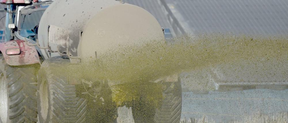 Ein Traktor versprüht die Gülle. So gelangt Nitrat in die Umwelt.