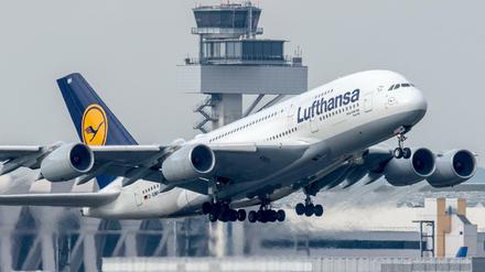 Ein Flugzeug der Lufthansa startet auf dem Flughafen in Frankfurt am Main. (Archivbild).