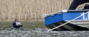 Ein Polizeitaucher schwimmt im Herzberger See im Landkreis Oder-Spree auf der Suche nach der vermissten Rebecca.