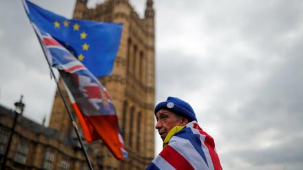 Chaos um den Brexit: Ein Demonstrant vor dem Parlamentsgebäude in London 