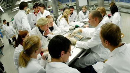 Medizinstudierende in einem Anatomie-Kurs.