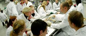 Medizinstudierende in einem Anatomie-Kurs.