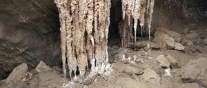 Mit der Zeit sind in der Malcham-Salzhöhle meterlange Stalaktiten gewachsen.