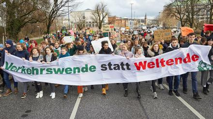 Hamburger FridaysForFuture-Demonstration 