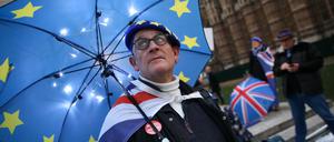 Ein Anti-Brexit-Demonstrant protestiert vor dem Unterhaus. 