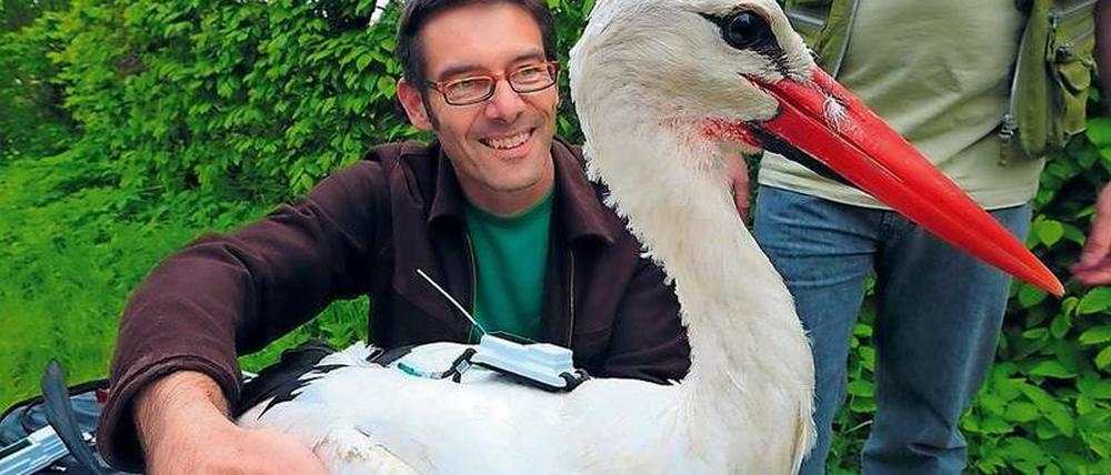 Am Boden. Das Icarus-Projekt Martin Wikelskis funktioniert noch immer nicht.