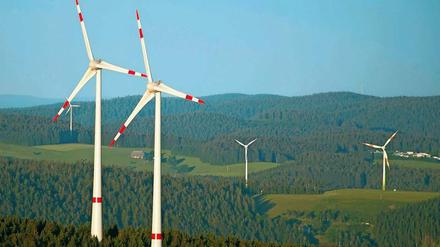 Tot durch Rotor? Wie sehr Windräder Insekten beeinträchtigen, ist unklar.