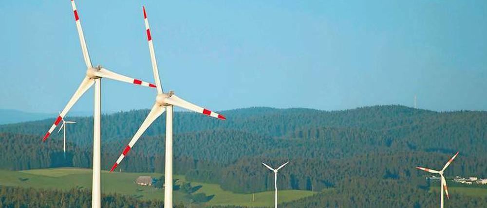 Tot durch Rotor? Wie sehr Windräder Insekten beeinträchtigen, ist unklar.