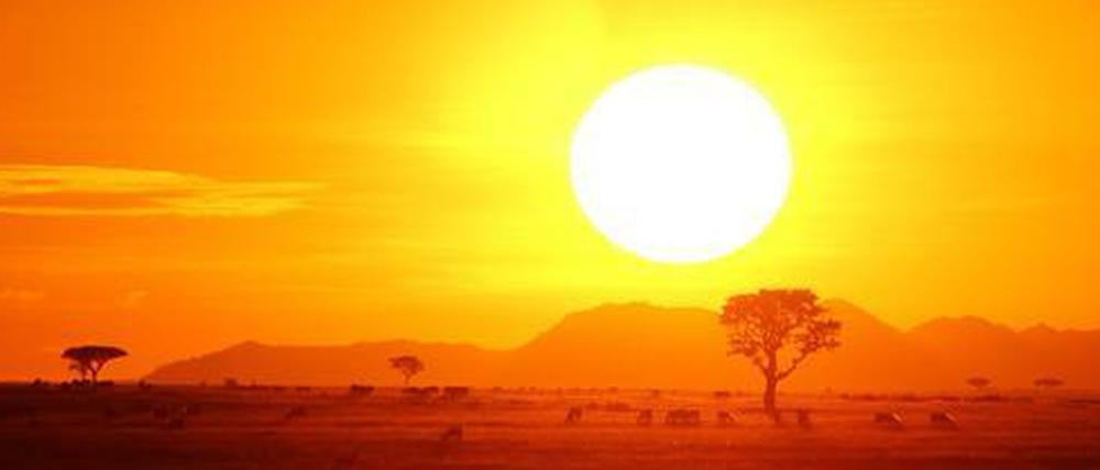 Sonnenuntergang in der Seregeti (undatiertes Bild).