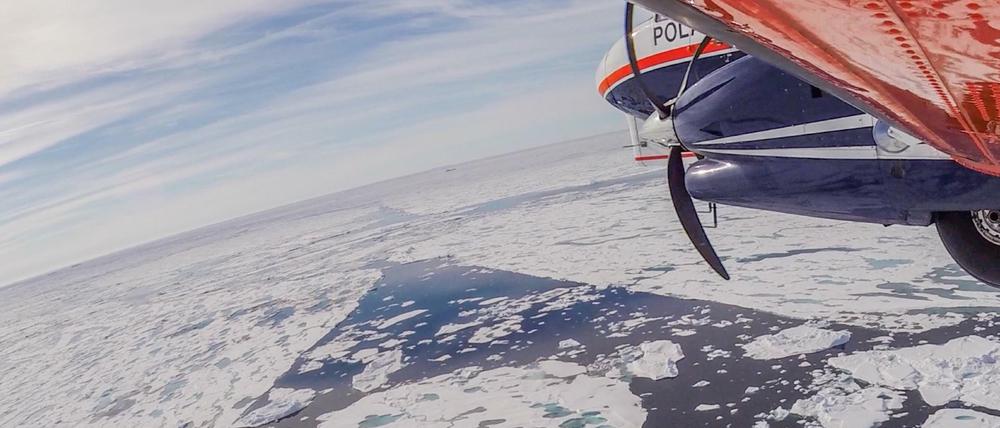 Das Polar 6 Forschungsflugzeug des Alfred-Wegener-Instituts fliegt während der IceBird-Eisdickenvermessung über dem Arktischen Ozean.