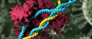 Die Gen-Schere Crispr/Cas9 (rot) ermöglicht Änderungen im Erbgut (blau) Schematische Darstellung.
