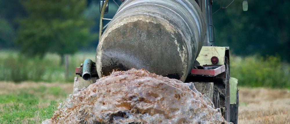Belastung: Die Gülle erhöht den Nitratgehalt im Grundwasser.
