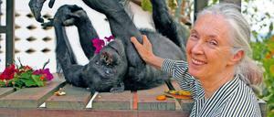 Affinität. Schon als Kind wollte Jane Goodall „mit wilden Tieren leben“. 