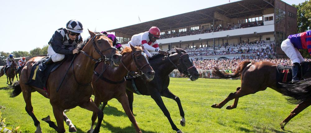 Aufgalopp im April. In Hoppegarten geht die Saison wieder los.