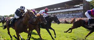 Aufgalopp im April. In Hoppegarten geht die Saison wieder los.