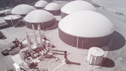 Gärtanks einer Biogasanlage stehen hinter einem Rapsfeld.