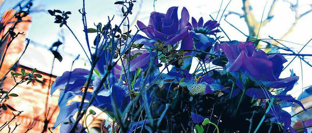 Friedhof II der Dreifaltigkeitsgemeinde an der Bergmannstraße in Berlin-Kreuzberg