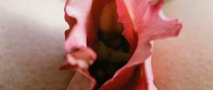 Bilder der Instragram-Wirklichkeit. Ein Foto von Lina Scheynius.