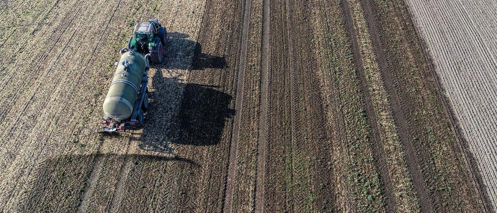 Einsatz auf dem Feld: In vielen Regionen Deutschlands sind die Felder überdüngt.
