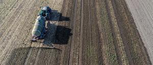 Einsatz auf dem Feld: In vielen Regionen Deutschlands sind die Felder überdüngt. 