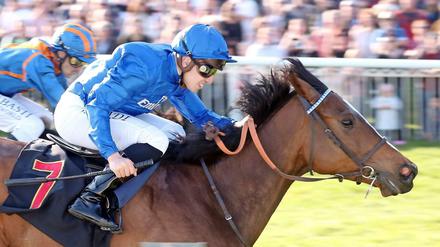 Das wird reichen: Jockey Soufiane Saadi ist sich seiner Sache auf der Siegerstute Fountain of Time kurz vor dem Ziel bereits sicher.