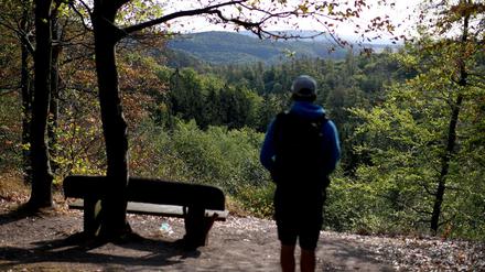 Ein junger Mann genießt die Aussicht über den Thüringer Wald.