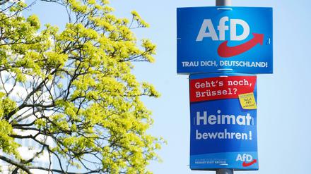 Der Streit innerhalb der Pankower AfD beschäftigt nun auch den Landesvorstand.