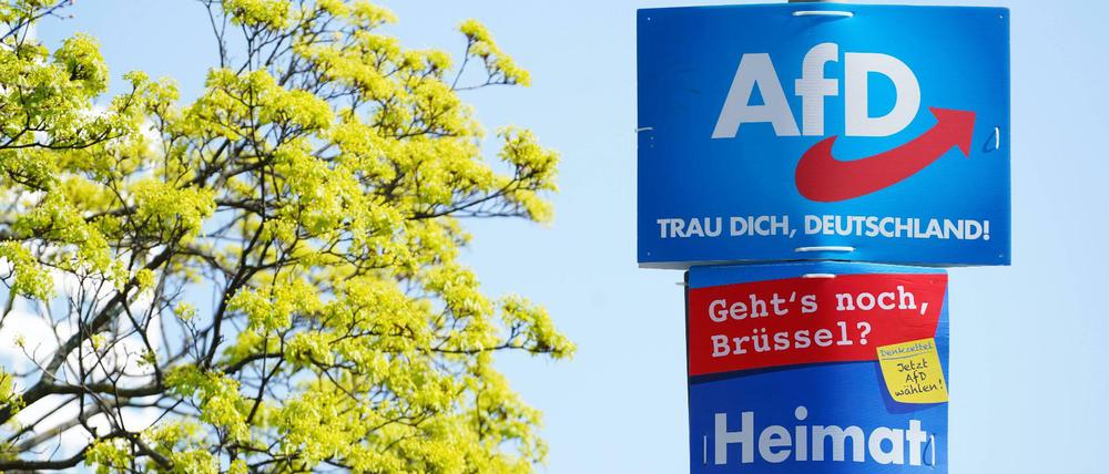 Der Streit innerhalb der Pankower AfD beschäftigt nun auch den Landesvorstand.