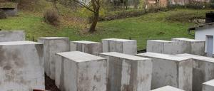 "Denkmal der Schande" in Bornhagen, Wohnort des thüringischen AfD-Chefs Björn Höcke.