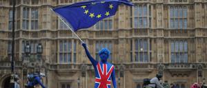 Ein Demonstrant vor dem britischen Parlament in London 