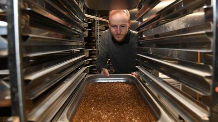 Lecker Larven. Sebastian Demtröder, wissenschaftlicher Mitarbeiter an der Hochschule Bremerhaven, steht im Forschungslabor vor einer Schale mit Mehlkäfern im Larvenstadium. Soja und Fischmehl sind als Eiweißlieferanten zentrale Bestandteile von Futtermittel - und umstritten. Insekten könnten eine Alternative sein. 