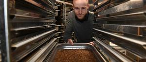 Lecker Larven. Sebastian Demtröder, wissenschaftlicher Mitarbeiter an der Hochschule Bremerhaven, steht im Forschungslabor vor einer Schale mit Mehlkäfern im Larvenstadium. Soja und Fischmehl sind als Eiweißlieferanten zentrale Bestandteile von Futtermittel - und umstritten. Insekten könnten eine Alternative sein. 