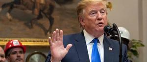 Donald Trump will die Einwanderungsgesetze ändern.