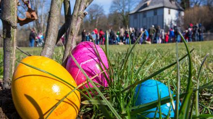 Ostern ohne bunte Eier? Nicht vorstellbar. Aber statt gefärbte Eier zu kaufen, sollte man lieber selber färben. 