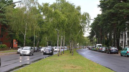 Auf der Strecke. Die Argentinische Allee in Berlin-Zehlendorf. 