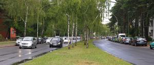Auf der Strecke. Die Argentinische Allee in Berlin-Zehlendorf. 