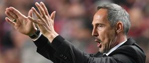 Wohlgeformt: Eintracht Frankfurts Trainer Adi Hütter hat seinem Team in dieser Saison ein Gesicht gegeben.