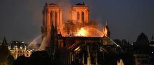 Kritik an Paris-Berichterstattung von ARD und ZDF. Während Notre-Dame brannte, strahlte das Erste eine Tierdoku und das ZDF seinen Montagskrimi aus. 