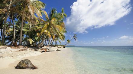 Urlaub unter Palmen, zum Beispiel auf den San Blas Inseln in Panama? Verursacht oft gegen ein schlechtes Gewissen. 