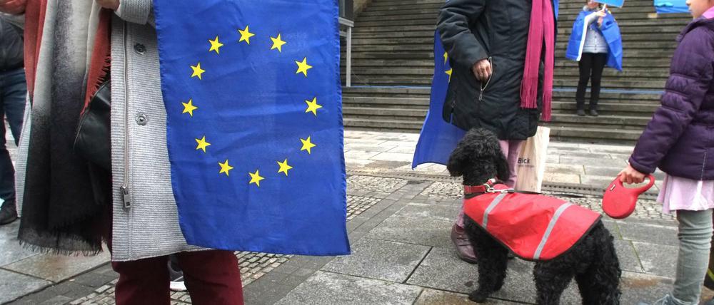  Auf dem Gendarmenmarkt trafen sich am Wochenende etwa 500 Menschen trotz Nieselwetters zur Kundgebung von „Pulse of Europe“. 