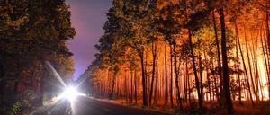 Nahe Klausdorf in Brandenburg brannte im August 2018 eine riesige Waldfläche.