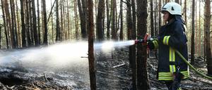 In Brandenburg herrscht akute Waldbrandgefahr