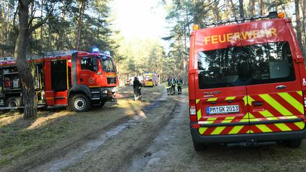 Die Waldbrandgefahr in der Region Berlin-Brandenburg ist hoch.