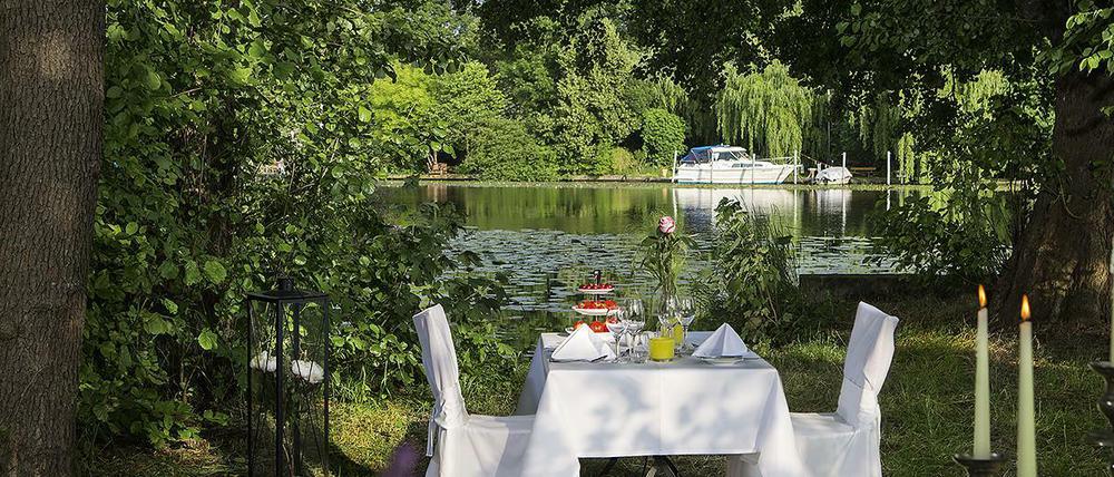 Blick ins Grüne. Der Garten am See hinterm Hotel.