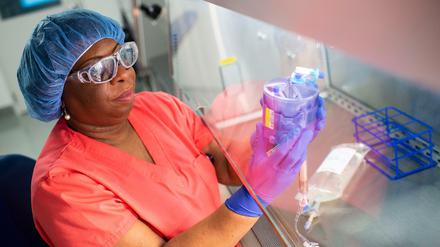 Forscherinnen und Forscher am St. Jude Children's Research Hospital in Memphis haben ein Virus so verändert, dass es als Gen-Fähre dient.