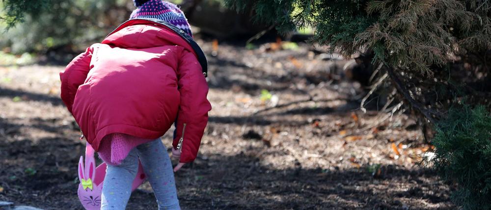 Auf Schatzsuche. Der Glaube an den Osterhasen regt die Fantasie der Kinder an.
