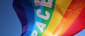 Pace – Frieden: der gemeinsame Wunsch bei den Ostermärschen, hier in Stuttgart.