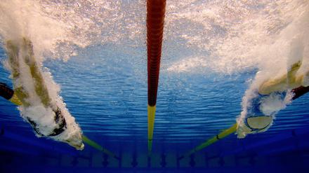 Rückkehr. Die Schwimmer wenden beim Weltcup auch wieder in Berlin.